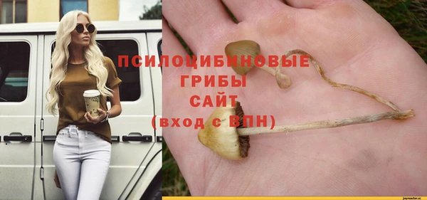 apvp Кодинск