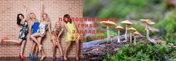твердый Коряжма