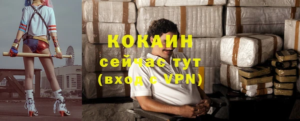 твердый Коряжма