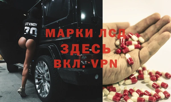 стафф Козельск
