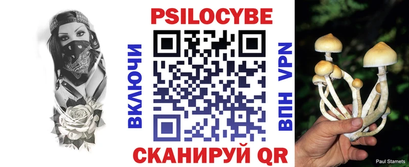 Псилоцибиновые грибы мицелий Спас-Клепики